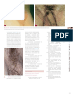 Fitzpatrick-Dermatology 1