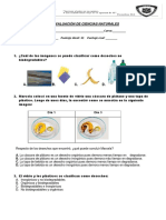 EVALUACIÓN DE CIENCIAS NATURALES terminada.docx