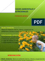 Enfermedades ambientales y nutricionales .pptx