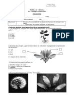 Prueba de Ciencias La Vida de Las Plantas