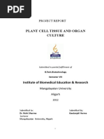 Plant Cell Tissue and Organ Culture-12.doc