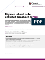 Regimen Laboral.pdf