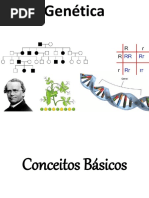 Introdução à Genética