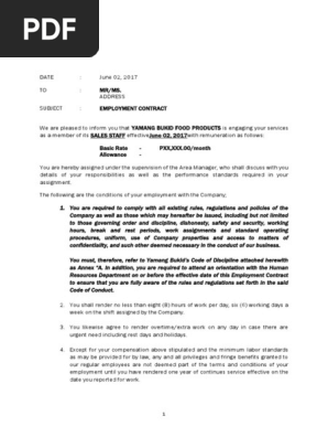 Contract of Employment Regularization Template