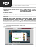 Formato Peligros Riesgos Sec Economicos