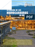 Situacion Hidrocarburos 2014 PDF