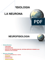 1. NEURONA -