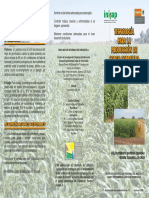 Tecnologia para la produccion de sorgo forrajero.pdf