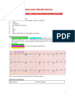 Resumen Cardio 3 P