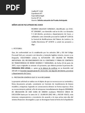 Demanda De Prueba Anticipada Pdf Evidencia Ley Ley Procesal