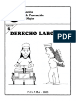 matdoc-Tema 6 Der Laboral.pdf