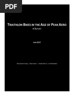 Triathlon Bikes in The Age of Peak Aero - A Report