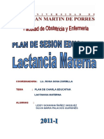 109447237-Plan-de-Charla-de-Lactancia-Materna.doc