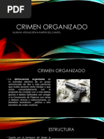 Crimen Organizado