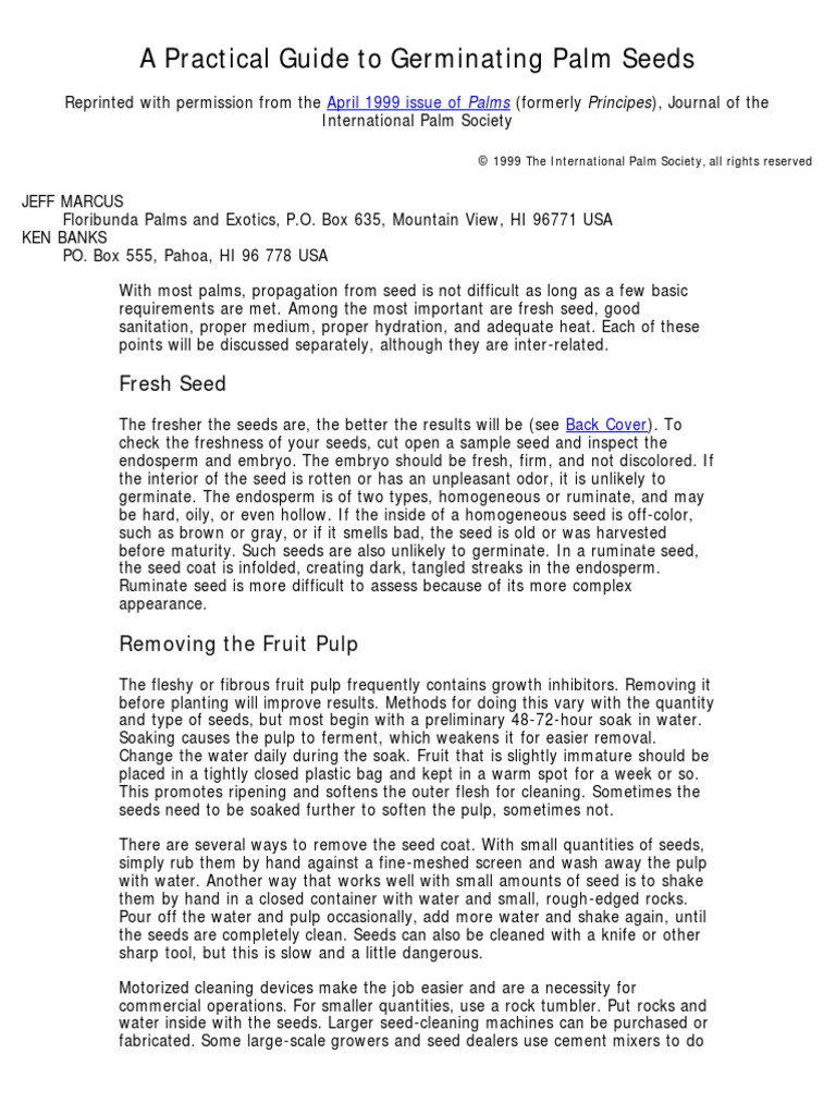 Germination Techniques for Palm Seeds | PDF | Seed | Germination