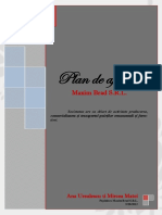 Plan de Afaceri Business Plan - Maxim BR PDF