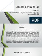 Moscas de Todos Los Colores