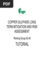A2.40+Copper+Sulphide+long+term+mitigation