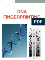 DNA Fingerprinting: by Taylor Cindric