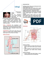 Anatomi Fisiologi (11 Files Merged)