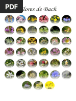 Bachflowers Pendulum Chart | PDF | Bach Flower Remedies | Plants