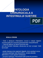 Patologie intestin subtire