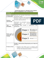 Guia Para El Desarrollo de La Práctica