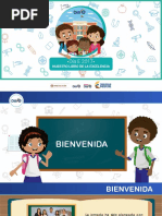 Presentación Día E