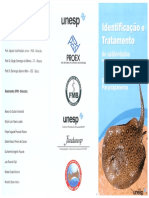 196 Folheto Unesp Acidentes Com Peixes PDF