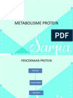 3 Metabolisme Protein