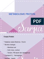 4 Metabolisme Protein