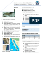 Ficha Tec. Sanitaria de l. Vannamei_070616204151