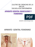 Organo Genital Masculino y Femenino
