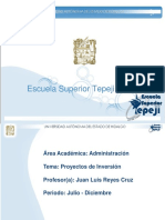 T Proyectos_de_Inversion.pdf