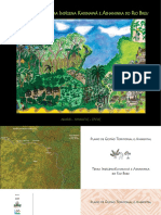 Plano de Gestão Terra Indígena Kaxinawá e Ashaninka Do Rio Breu