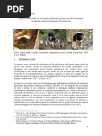 Impacto Ambiental en La Mineria Informal