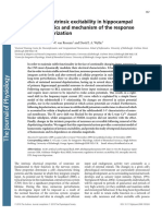 Homeostasis of Intrinsic Excitability in Hippocampal Neurones: Dynamics and Mechanism of The Response To Chronic Depolarization