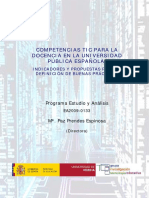 Informe Final Competencias2010