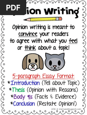 opinion writing