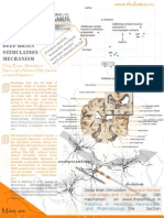 Thalamus Deep Brain Stimulation