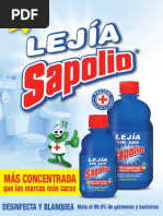 Hv Sapolio Lejia 2015