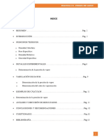 Informe #4 Presión de Vapor - UNMSM