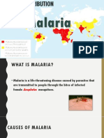 Malaria Presentation