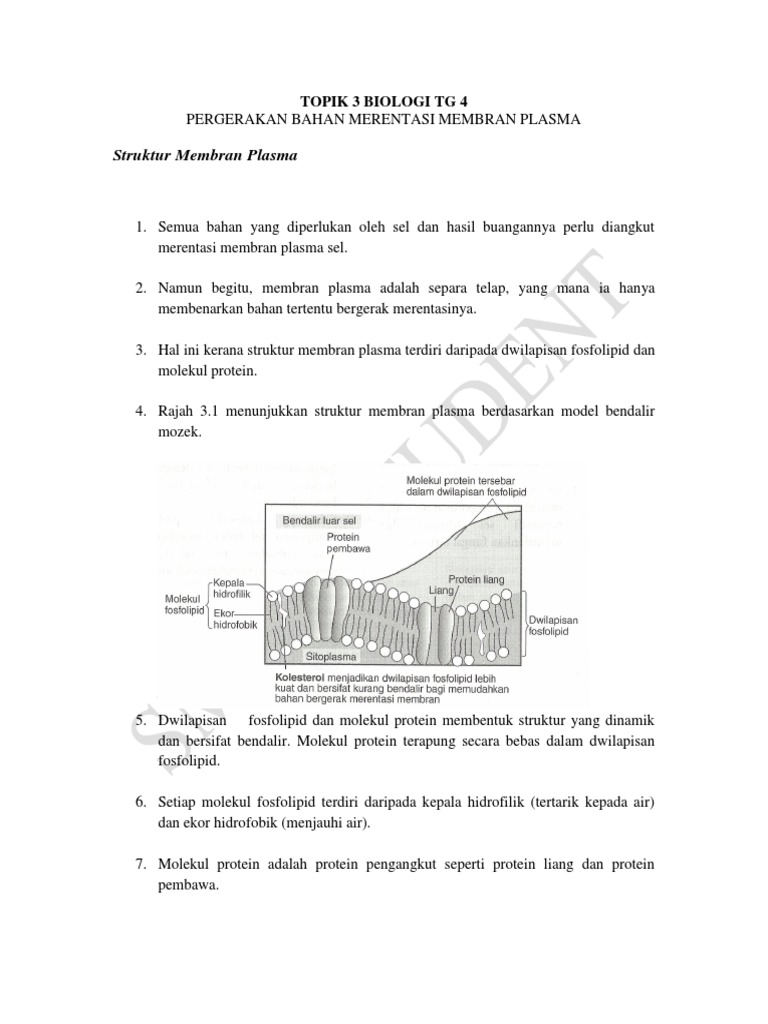 Biologi Topik 3 T4 Pergerakan Bahan Merentasi Membran Plasma Pdf
