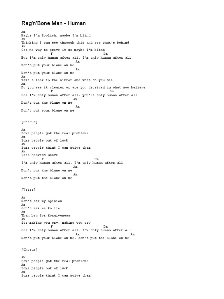 Rag N Bone Man Human Text übersetzung