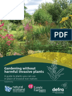 Gardening Without Harmful Invasive Plants: A Guide To Plants You Can Use in Place of Invasive Non-Natives