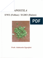 135929856-Apostila-Ewe-e-Egbo.pdf