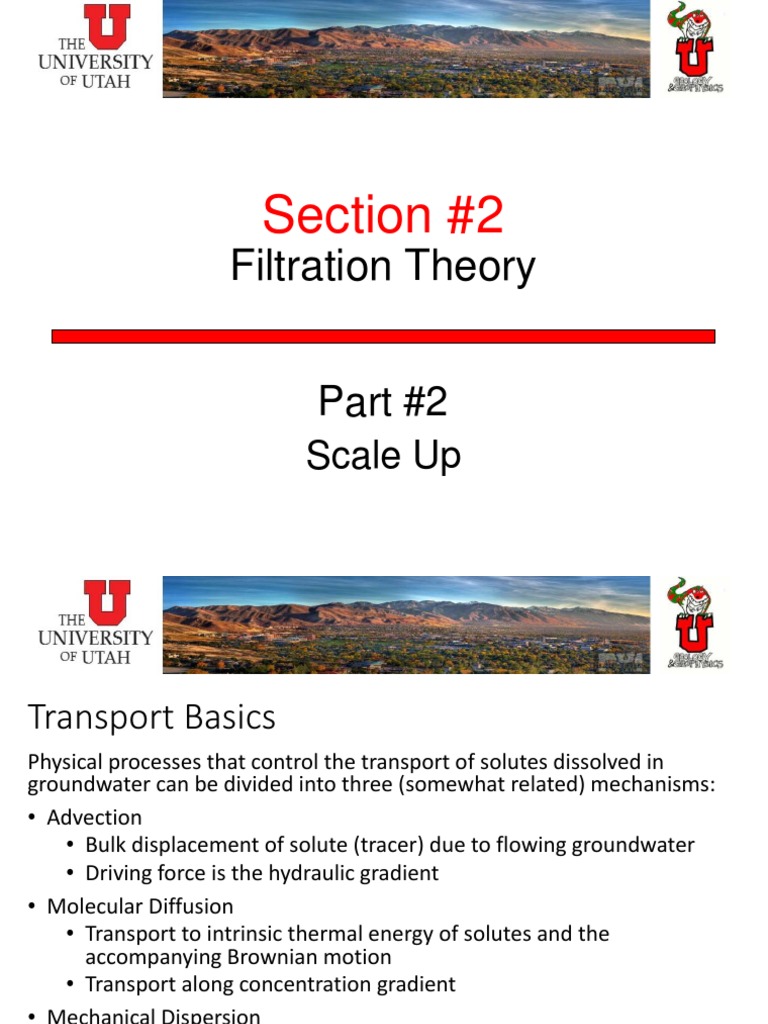Section 2 Filtration Theory PDF Diffusion Porosity