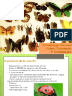 Entomologia 140108210817 Phpapp02