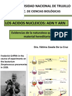 2. Estructura Del Adn